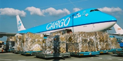 KLM cargo 2